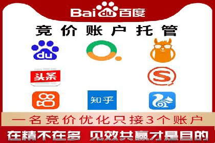 百度竞价代运营公司成功案例解析